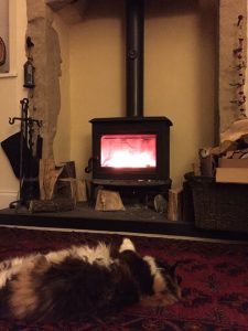 Cat in front of wood burning stove